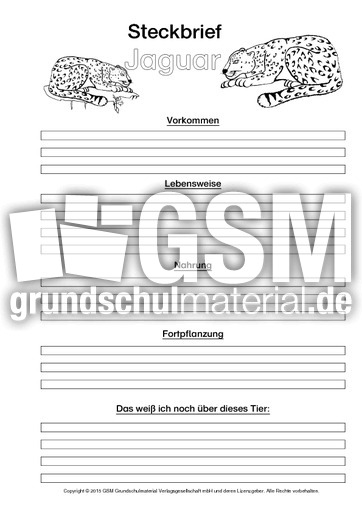 Jaguar-Steckbriefvorlage-sw.pdf